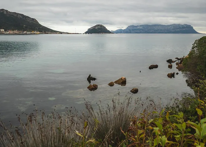 Apartmán Baia Caddinas Fronte Mare